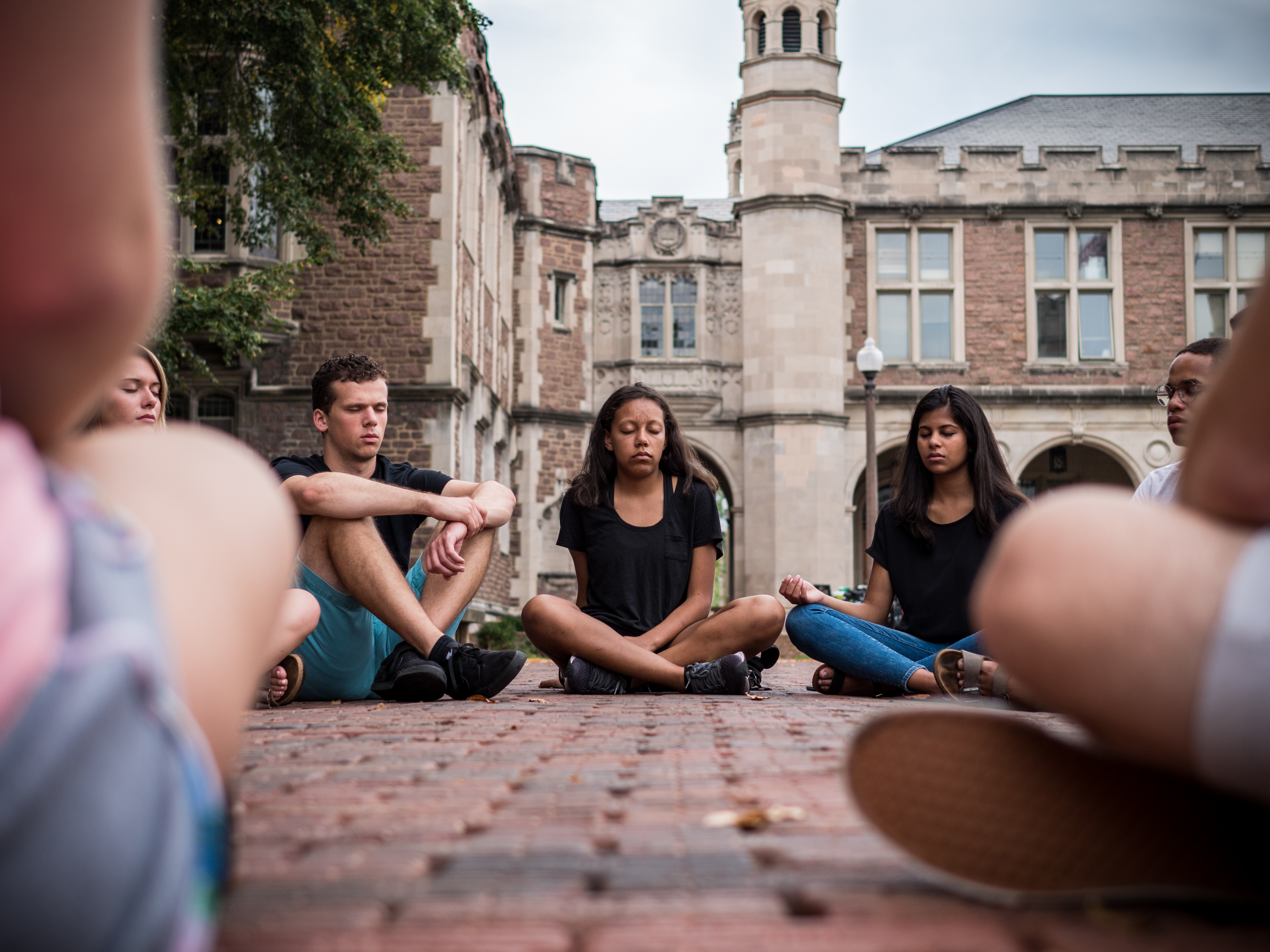 WashU students meditate