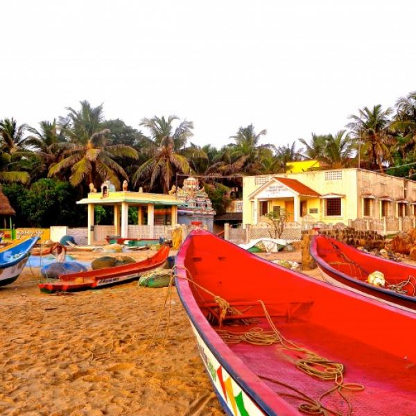 Image of colorful boats on the shore of India.
