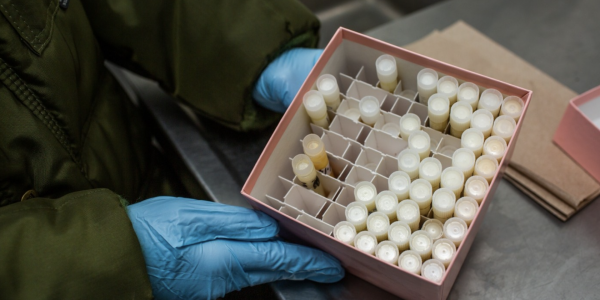 Box of milk samples, held by gloved hands